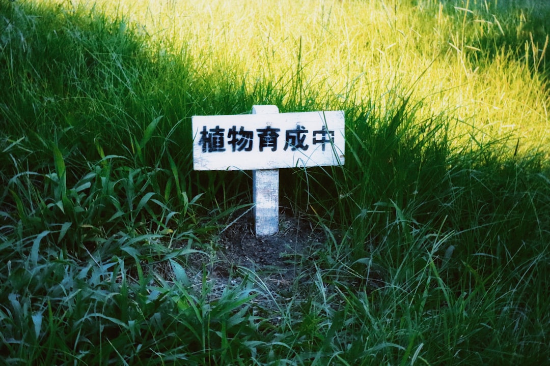 電動堆高機省電秘技！一年竟能多賺一台iPhone？